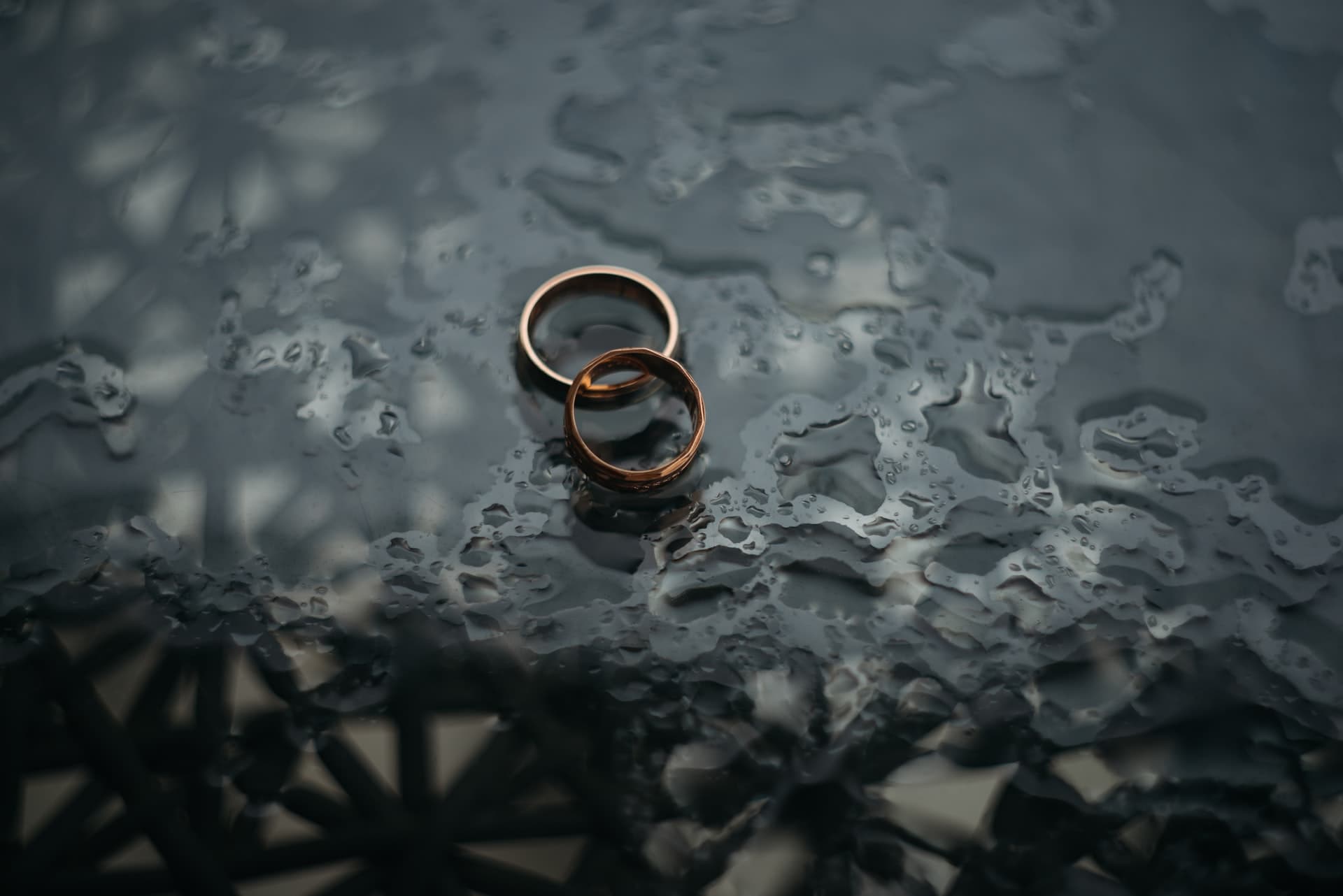 The Future of Artificial Reproductive Technologies